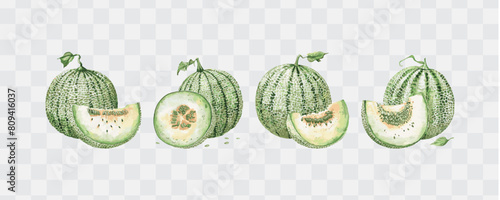 Melon watercolor isolated graphic transparent