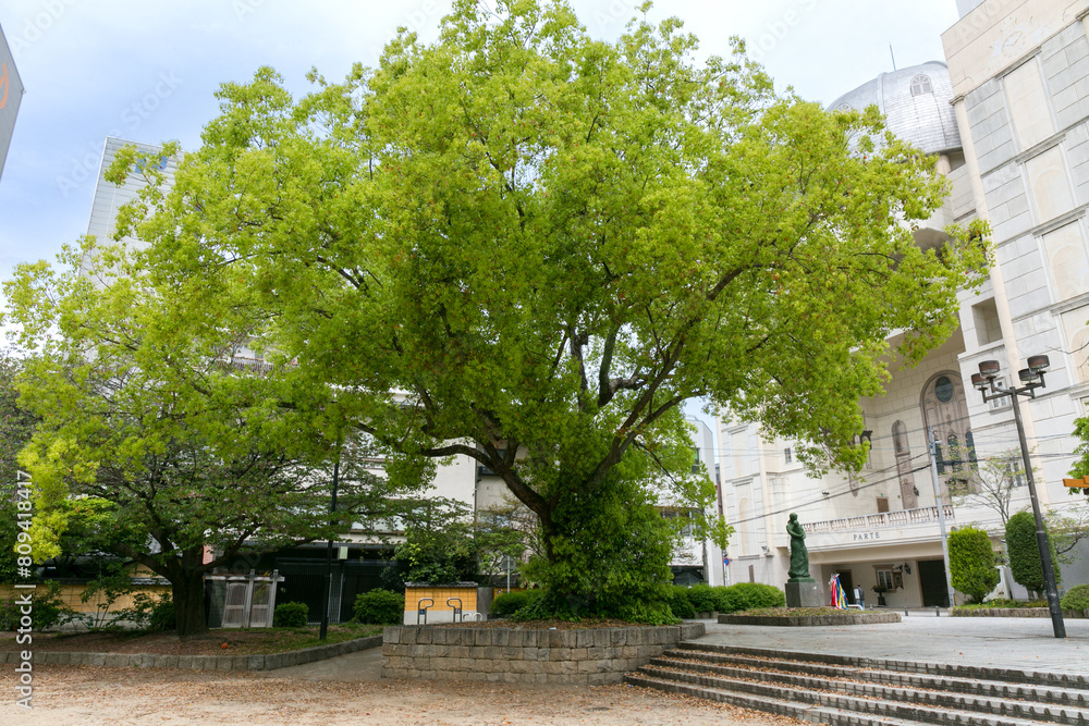 Naklejka premium 袋町公園(広島県広島市中区袋町9)