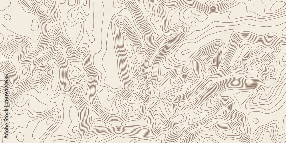 Fototapeta premium Geographical map, contour map, vector design