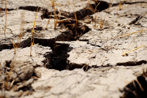 Close up dried up, mud cracks by drought, climate change by global warming, surface of rice field arid in dry dry hot season at Mekong Delta, Viet Nam