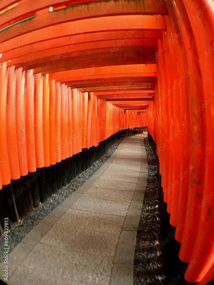 Fototapeta premium Thousand Torii Gates at Fushimi Inari Shrine, Japan