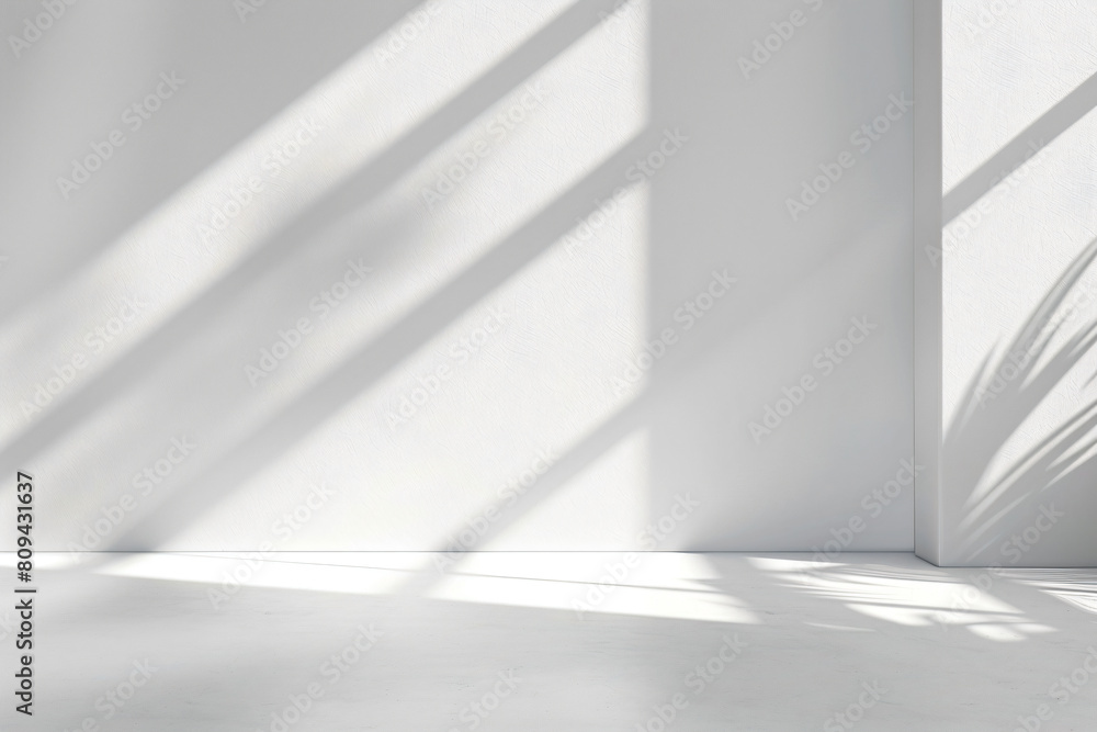 a plant is in a white room with a white wall a plant is in a white room with a white wall