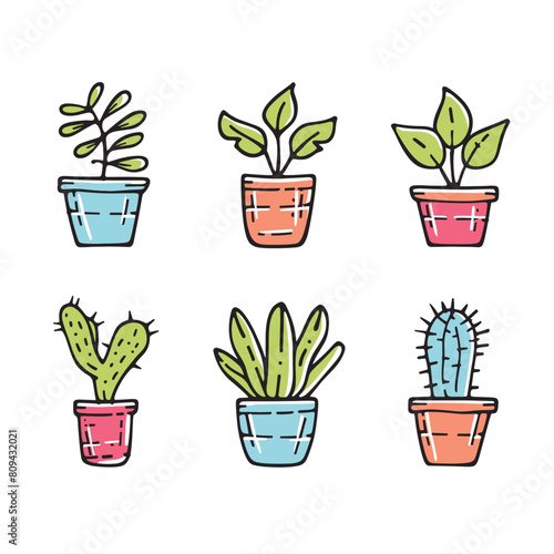 Six colorful potted plants, houseplants doodle style. Indoor plant collection, succulents cacti colorful pots. Flora decor, handdrawn plant illustration, simple botanic garden elements
