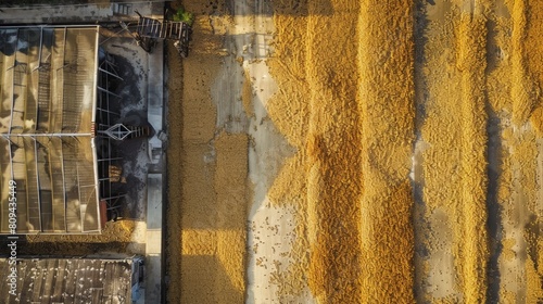 Millions of Grains of Rice Laid Out to Dry: Aerial Photography photo
