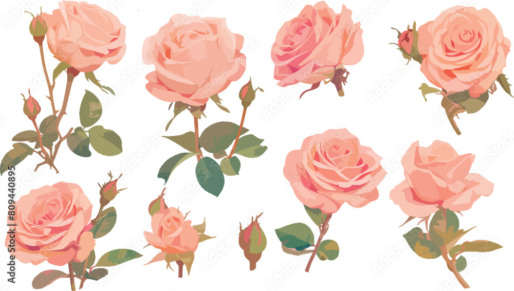 rose clipart vector for graphic resources