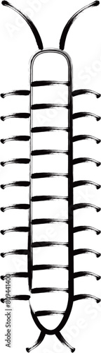 筆書き昆虫単品アイコン　ムカデ