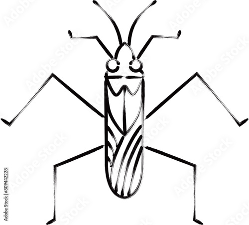 筆書き昆虫単品アイコン　アメンボ