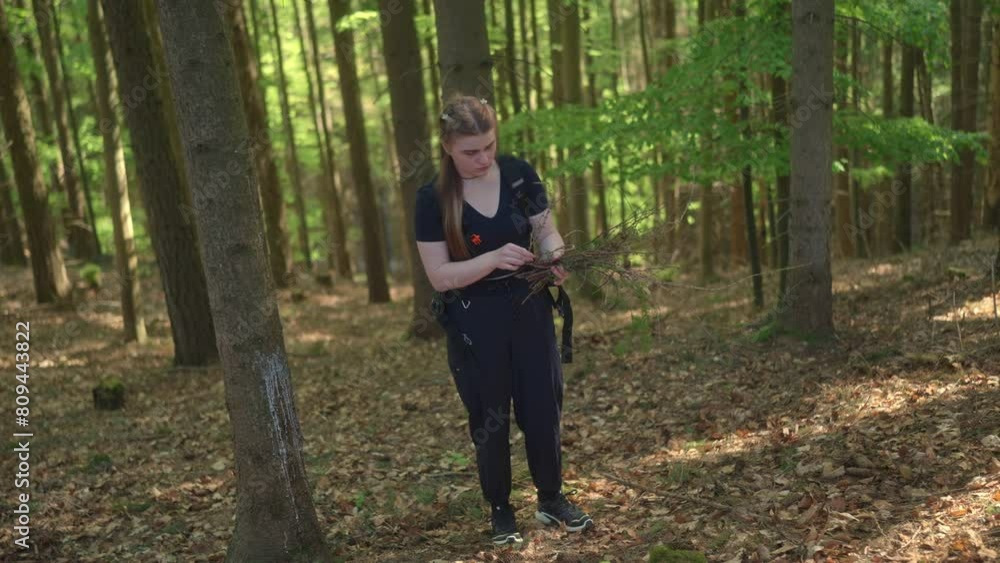 Young woman collects sticks in the forest. Production of own decoration using natural materials. Young woman collects sticks in the forest. Production of own decoration using natural materials.