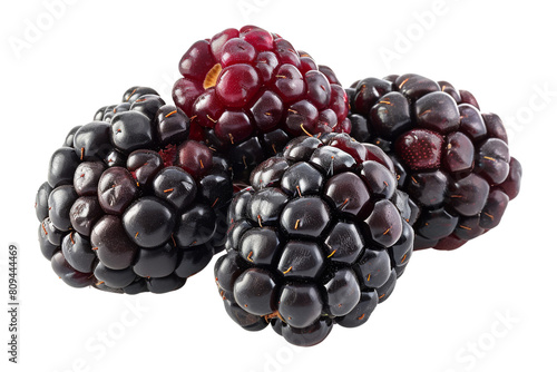 A close-up image of a handful of fresh, ripe blackberries photo