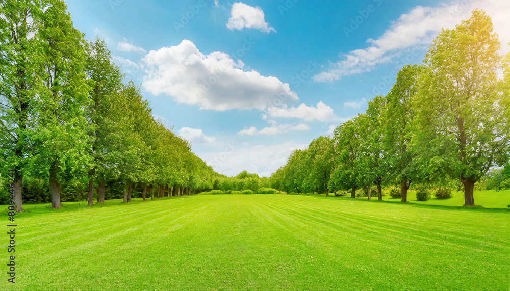 Beautiful, blurred background image of spring nature with a neatly trimmed lawn surrounded Beautiful, blurred background image of spring nature with a neatly trimmed lawn surrounded