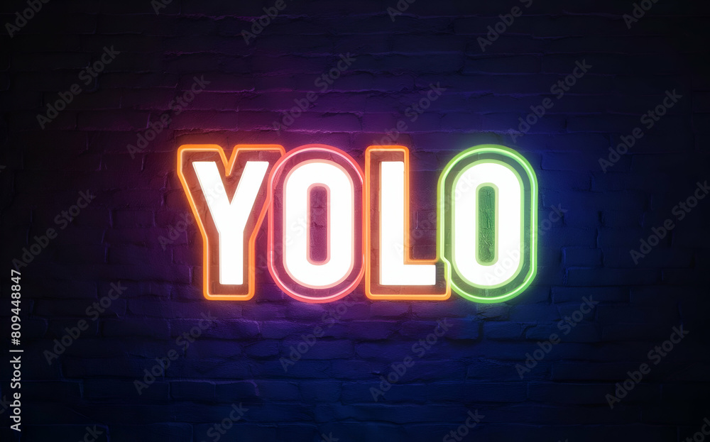 yolo, you only live once yolo, you only live once