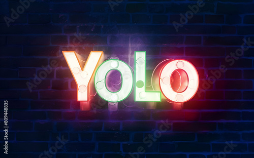 yolo, you only live once