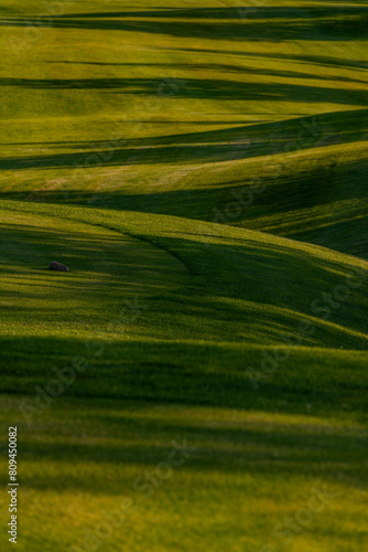 Picturesque hills with a well-kept lawn on a sunny evening © Max Zolotukhin