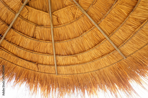 Under the thatched roof with white sky