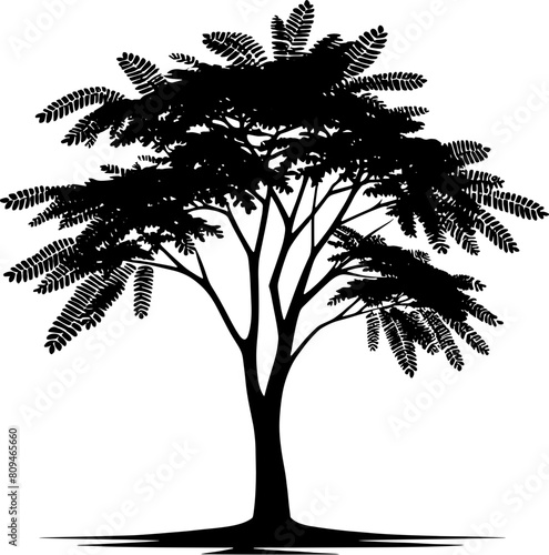 Black Locust Tree icon 12