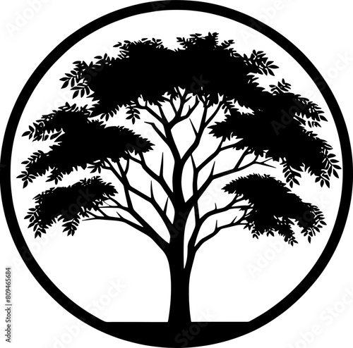 Black Locust Tree icon 7