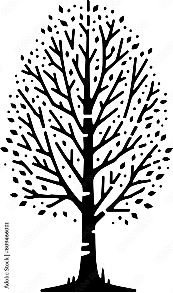 Fototapeta premium Black Birch Tree 3