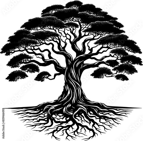 Banyan Tree icon