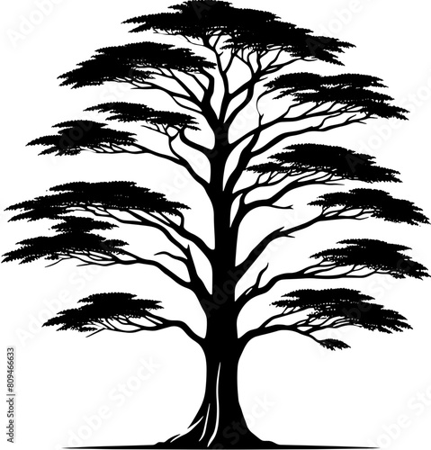 Bald Cypress Tree icon 7