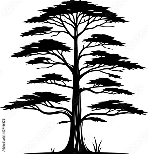 Bald Cypress Tree icon 2