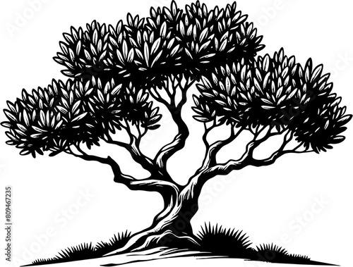 Arbutus Tree icon 7