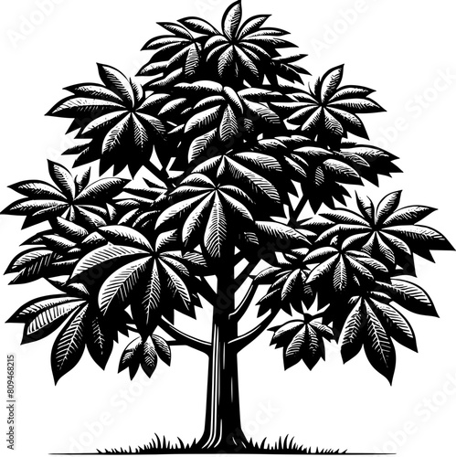 American Chestnut Tree icon 10