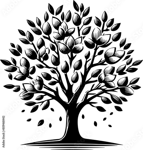 Almond Tree icon 1