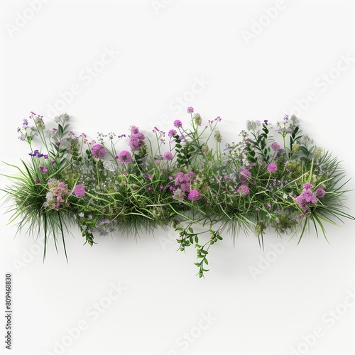 "Overhead View of Flowery Grass in Savanna, Transparent Background, 3D Render PNG, Blank White Background" "Overhead View: Savanna Grass with Flowers, Transparent Background, 3D Render PNG, Blank Whit