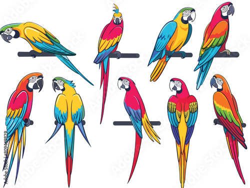 Brightly colored parrots various poses perched tropical birds illustration. Vivid macaws, blue, yellow, red feathers, playful avian expressions, perching branch, isolated white background. Colorful