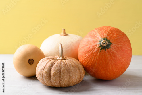 Various pumpkins on white with yellow background, Vegetables in autumn season