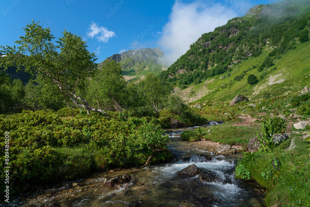 View of the Malaya Dukka River against the backdrop of the mountains of the North Caucasus on a sunny summer day, Arkhyz, Karachay-Cherkessia, Russia View of the Malaya Dukka River against the backdrop of the mountains of the North Caucasus on a sunny summer day, Arkhyz, Karachay-Cherkessia, Russia