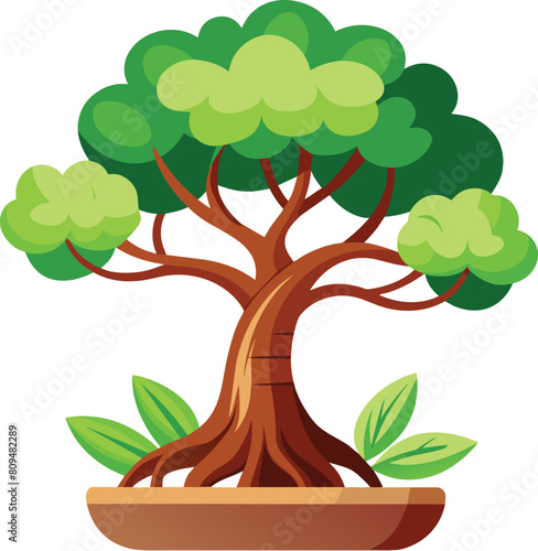 bonsai tree vector illustration