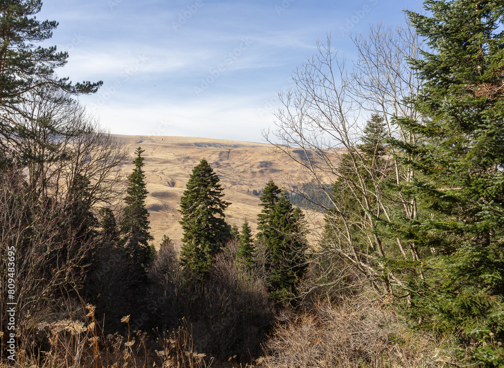 early autumn, nature walks, panoramic views, hiking trails and mountain holidays. early autumn, nature walks, panoramic views, hiking trails and mountain holidays.