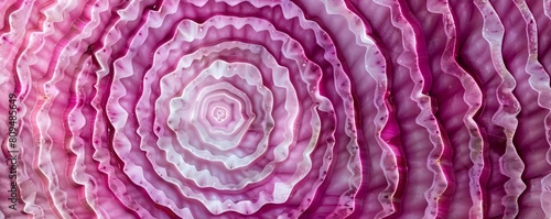 The concentric layers in the crosssection of an onion, creating a natural bullseye