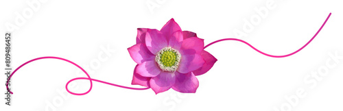 line art lotus flower for a vesak day