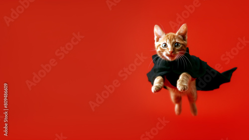 Superhero cat. Ginger kitten wearing a black cape flying against red background. Orange tabby cat in black cloak. Studio photo of a funny super cat in a cape with copy space for text.