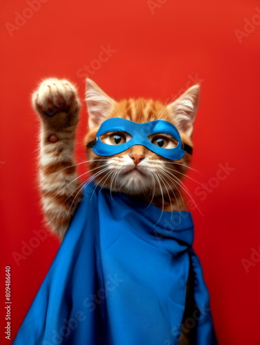 Cute ginger kitten in costume of superhero on red background. Superhero cat in blue mask and cloak. Vertical photo of funny super cat looking at camera.