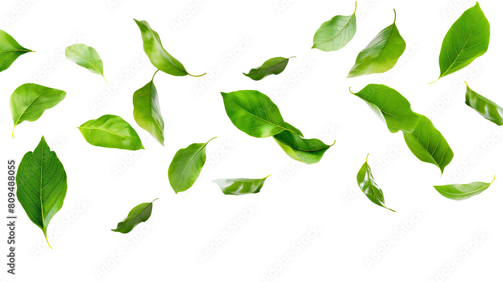 Flying green leaves isolated on a transparent background