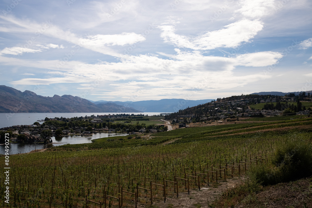 Vineyards on the shores of Okanagan Lake. Quails' Gate Winery of Kelowna, British Columbia, Canada. Vineyards on the shores of Okanagan Lake. Quails' Gate Winery of Kelowna, British Columbia, Canada.