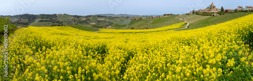 Amazing landscape of the vineyards of Langhe in Piemonte in Italy during spring time. The wine route. An Unesco World Heritage. Natural contest. Rows of vineyards with yellow rapeseed fields