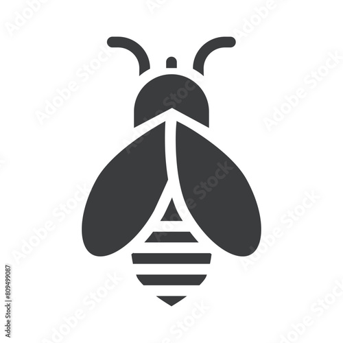 Honey Bee Icon