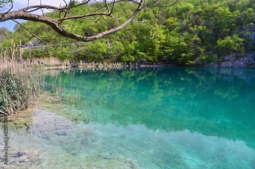 Emerald Clear Water at Plitvice Lakes National Park in Croatia