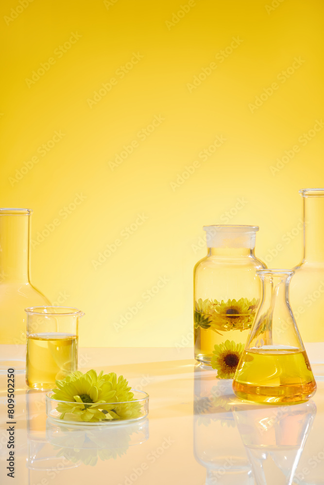 Experimental instruments containing light yellow color essential oil over yellow background, decorated by some fresh calendula flowers. Vacant space for adding text. front view Experimental instruments containing light yellow color essential oil over yellow background, decorated by some fresh calendula flowers. Vacant space for adding text. front view