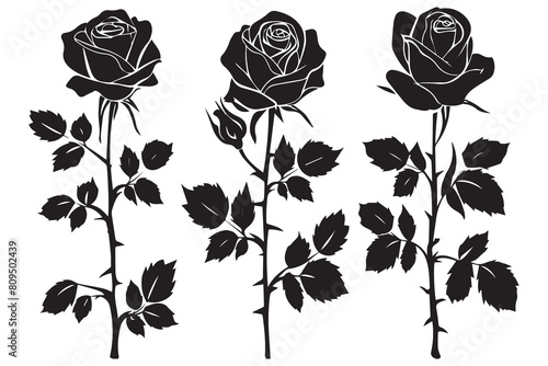Set of roses silhouettes isolated on a white background, Vector illustration