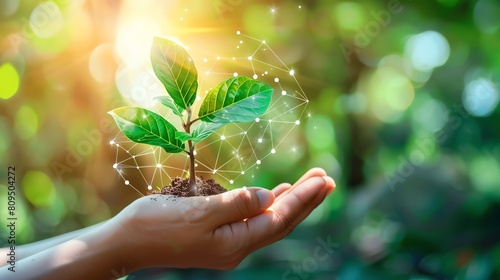 A hand holding a small plant with a glowing network of connections representing the interconnectedness of life on Earth