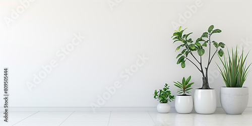 Minimalist Plant Corner: Design a minimalist plant corner with a few carefully selected potted plants arranged against a clean white wall to bring a touch of nature indoors. photo