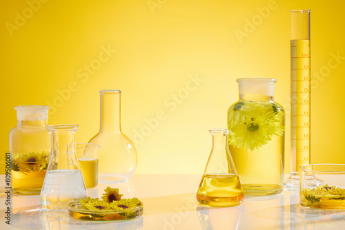 Calendula flower ingredient in laboratory in yellow tones  several equipments with yellow liquid placed on white table  decorated by some calendula flower. Copy space  front view photo