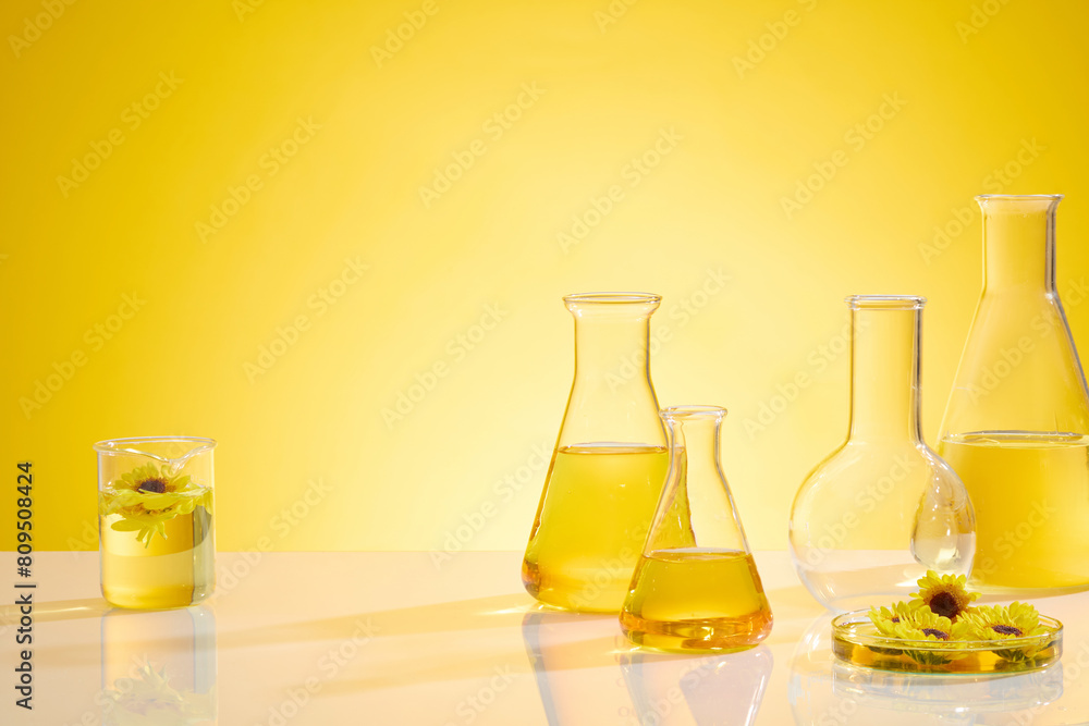 Some erlenmeyer flasks filled by yellow fluid, a petri dish contain calendula flowers and a blank boiling flask placed on the left side, a beaker placed on the other side. Copy space, frontal shot Some erlenmeyer flasks filled by yellow fluid, a petri dish contain calendula flowers and a blank boiling flask placed on the left side, a beaker placed on the other side. Copy space, frontal shot
