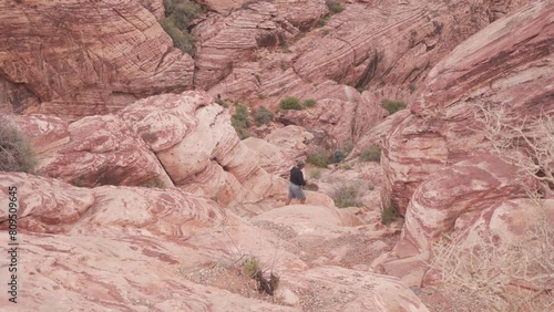 Tourists At Red Rock Canyon National Conservation Area In Clark County, Nevada. static shot photo