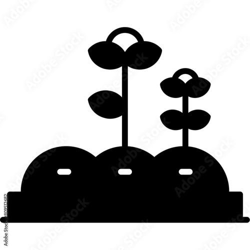 Sprout Icon